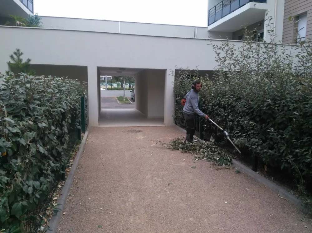 Espaces verts
