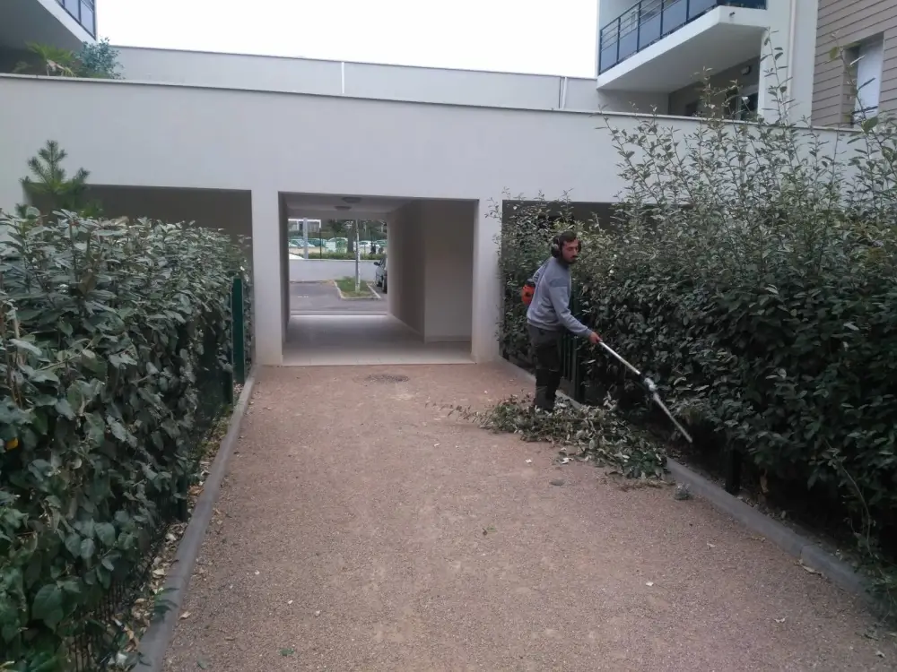 Taille des haies et arbustes dans les jardins et Parcs à Chaponnay